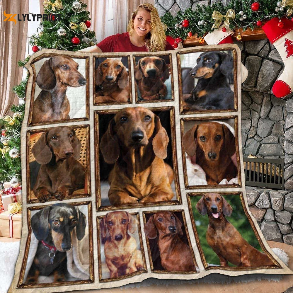 Dachshund Lmt1612 Awesome 3D Customized Quilt , Soft Quilt, King Size, All Season Cozy Quilt QB0901